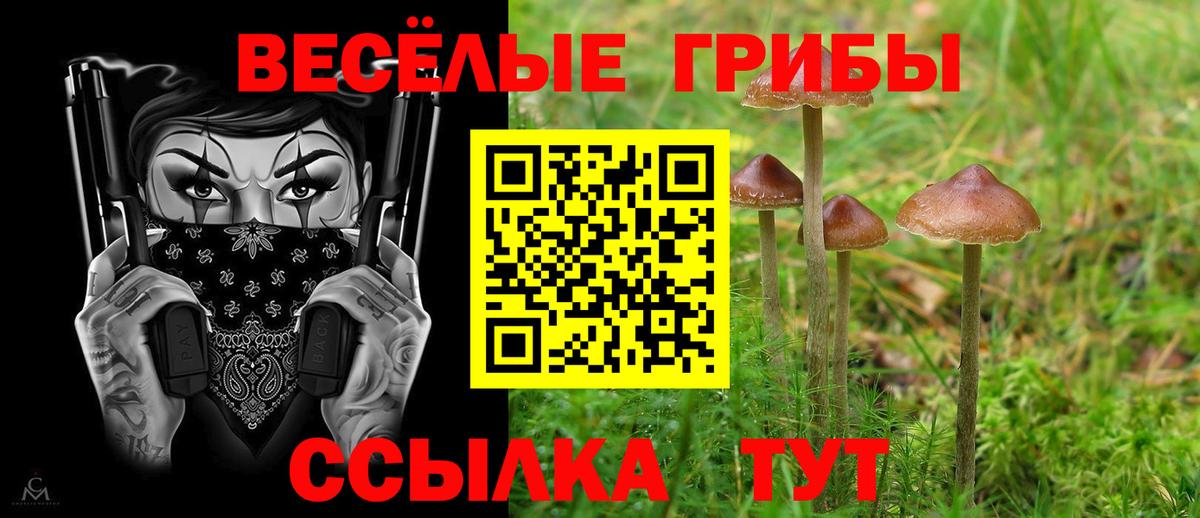 Псилоцибиновые грибы прущие грибы Корсаков