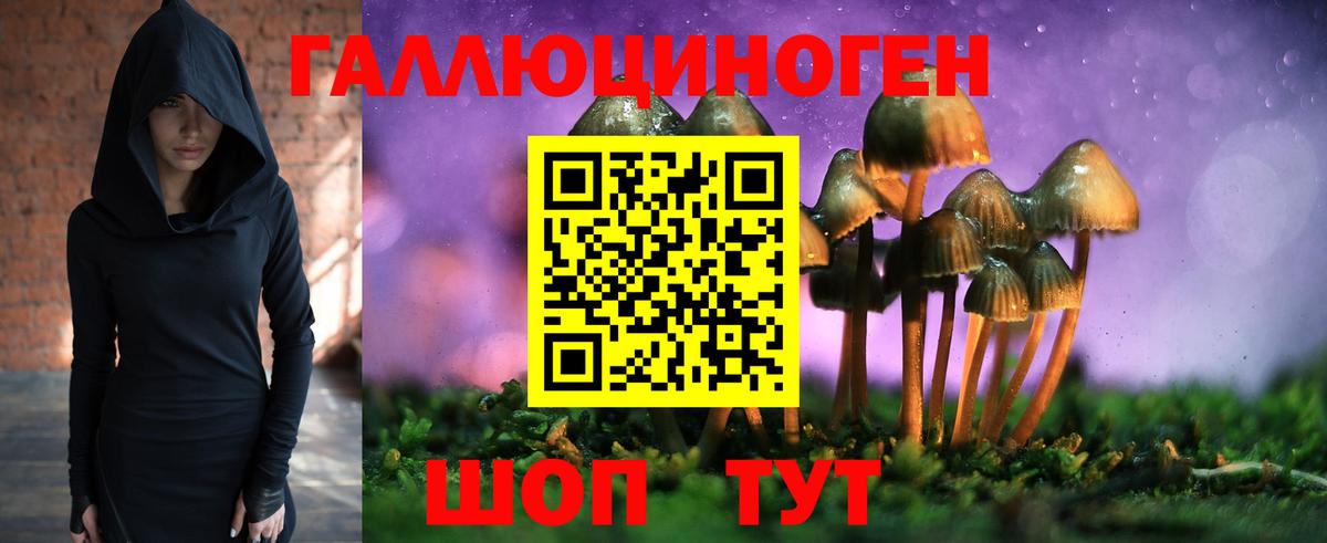 Галлюциногенные грибы ЛСД  Вход с VPN  Корсаков 